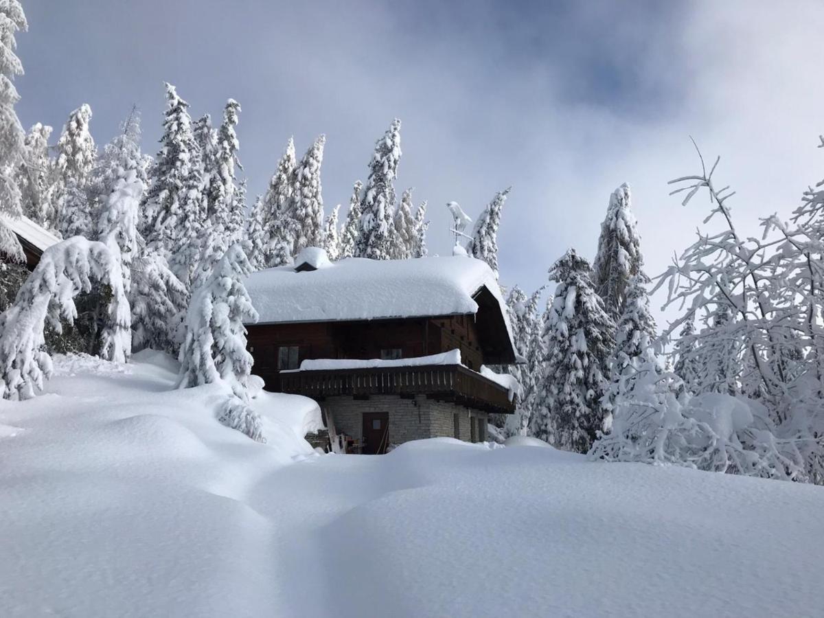 Kronplatz Ski Lodge Olang Exterior photo